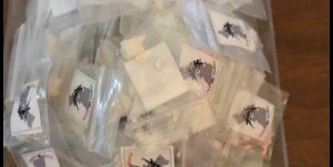 Estatales y SEDENA aseguran equipo táctico, cargadores y droga en Cerritos