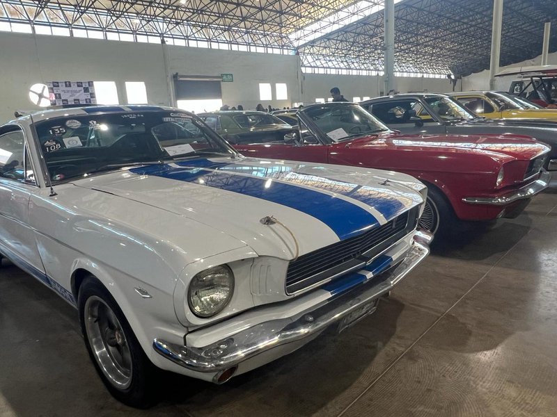 autos_clasicos_slp_mirioverde.jpeg