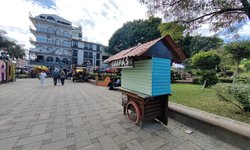 Detectan comercio ambulante con operación fija en el centro de Rioverde