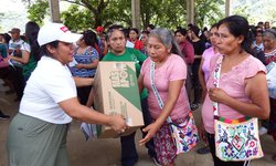 Desarrollo integral y movilidad para pueblos originarios