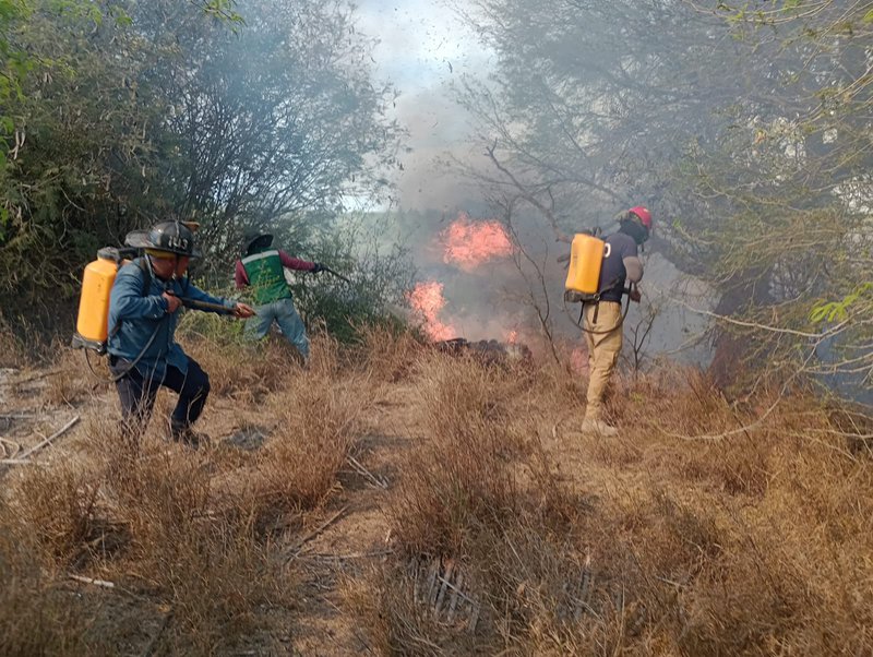 bomberos_atienden_incendio.jpeg