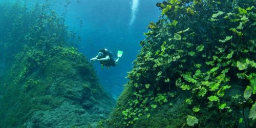 Baja afluencia al manantial Media Luna en puente de Día de Muertos