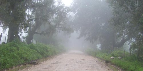 Matan de cuatro balazos a una persona en comunidad de Cd. Del Maíz