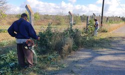 Habitantes de Adjuntas limpian cuatro kilómetros de camino a Puestecitos