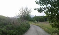 Arreglan camino de alejadas rancherías de San Ciro