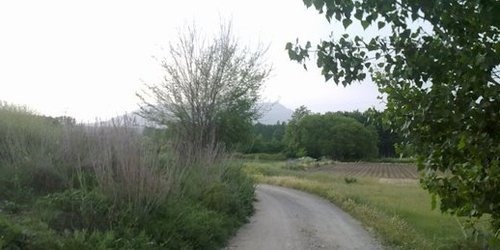 Arreglan camino de alejadas rancherías de San Ciro