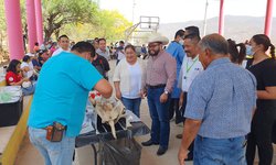 Campaña de vacunación antirrábica en El Zapote