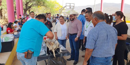 Campaña de vacunación antirrábica en El Zapote