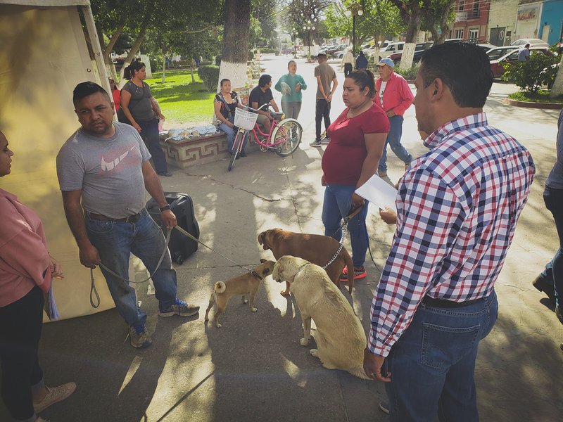 campañadeesterilizaciondos.jpg