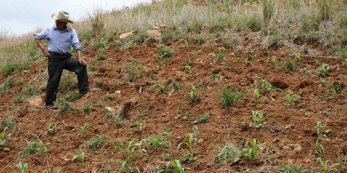 En riesgo la estabilidad social por falta de apoyo al campo