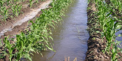 Lluvias recuperaron acuífero del río Verde