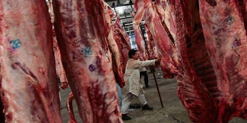 Empresa mexicana crea electricidad con residuos cárnicos