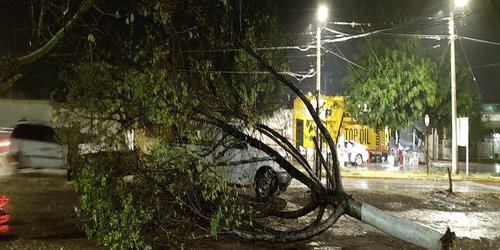 Seis árboles caídos y dos transformadores incendiados por lluvias en CDFDZ