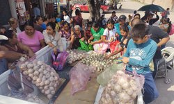 DIF Rioverde entrega cebollas a familias de colonias y comunidades