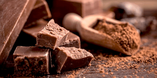 Inicia la cuarta edición de la fiesta nacional del chocolate 2020 en SLP