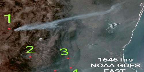 Fuertes incendios forestales en distintos puntos del estado