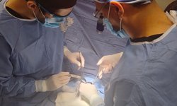 Especialista operará gratis del corazón a niñas y niños