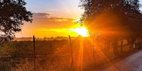 Tarde y noche fresca hoy en Rioverde y la región media