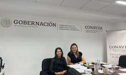 CEEAV e IMES ejercerán presupuesto federal de la CONAVIM: SGG