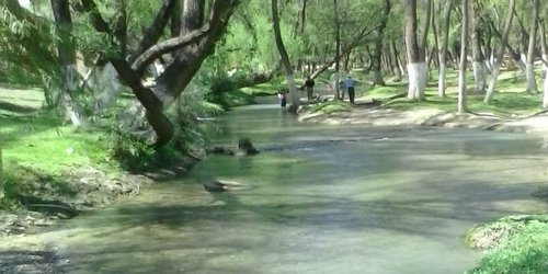 Invita Ecología a concurso infantil de fotografía con celular