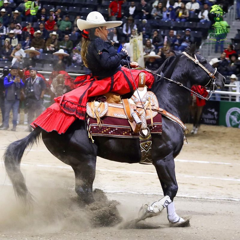 congreso_nacional_charro_slp.jpeg