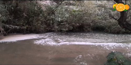 Hay contaminación de ríos por todos rumbos: Autoridades brillan por su ausencia