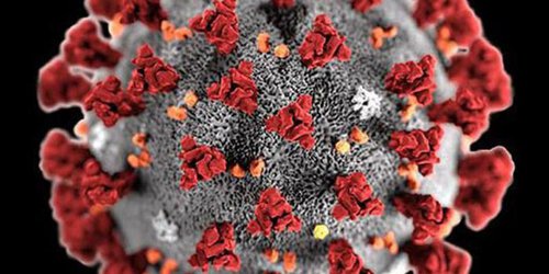 Copatrocinan 161 países propuesta de México sobre insumos contra COVID-19