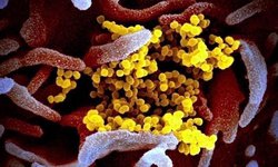 Fallece magistrado federal por Covid-19