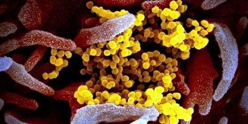 Fallece magistrado federal por Covid-19