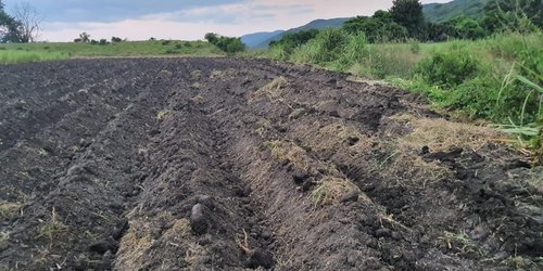 Agricultor desentierra con rastra de tractor cuerpo sin vida, en su parcela