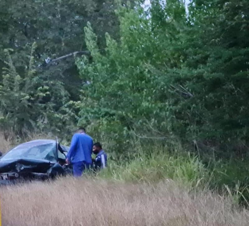 custodioXolol II.jpeg