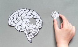 De suma importancia atender la demencia senil