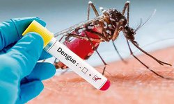 Reportan brote de dengue en Santa María del Río