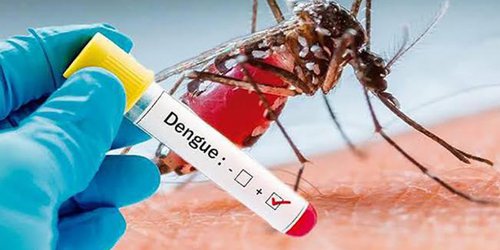 Reportan brote de dengue en Santa María del Río
