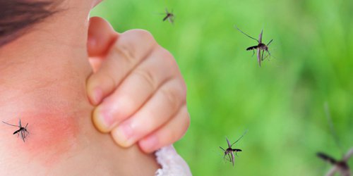 En una semana, CDFDZ registró 15 casos de dengue