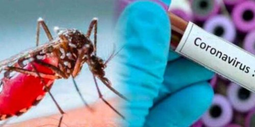 Analizan dos casos sospechosos de pacientes con dengue y Covid al mismo tiempo