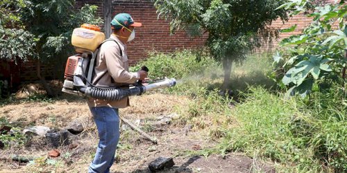 Pide Salud mantener medidas contra el dengue de forma permanente