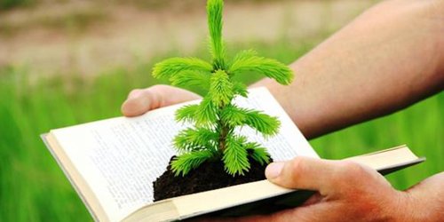 Propone Morena incluir los derechos de la naturaleza en la Constitución Local