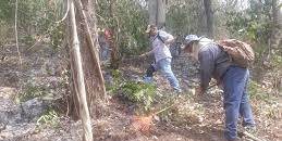 Invita protección de Ciudad  Valles  a no quemar basura