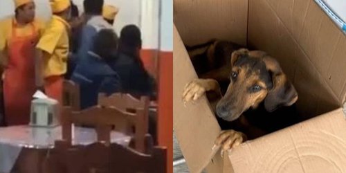 Detienen en Edomex a dos hombres que vendían tacos de perro en la CDMX