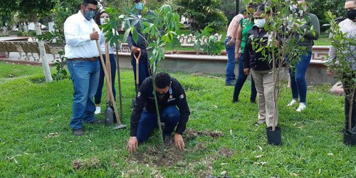 Celebran el Día de la Tierra reforestando la plaza principal de Ciudad Fernández