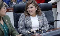 Mayor certeza y seguridad jurídica a la integración del Consejo Hídrico Estatal: Dip. Diana Ruelas