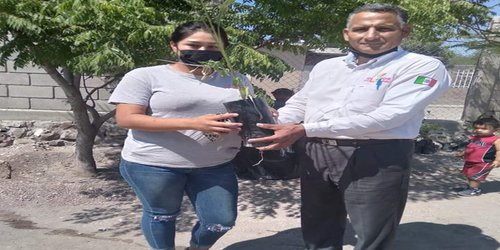 Reforestarán escuelas y áreas deportivas en la comunidad Angostura