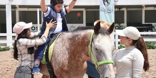 Concluye capacitación de segunda generación en equinoterapia
