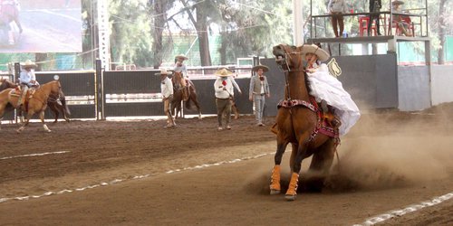 Escaramuza Puente de la Cruz de Rioverde en zona de calificación en el Nacionalito