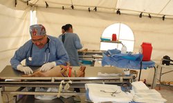 Programa "Visitando corazones" amplía atención con esterilizaciones de mascotas