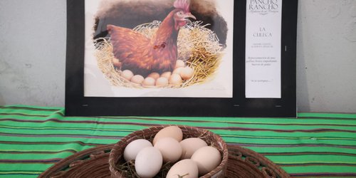 Se vendieron todas las pinturas de la exposición "Pancho Rancho"