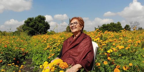 Doña Isabel Balderas siempre cultivando la flor de cempasúchil