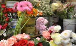 Floristas ahora vendieron en la central de abastos, ante cierre de panteones