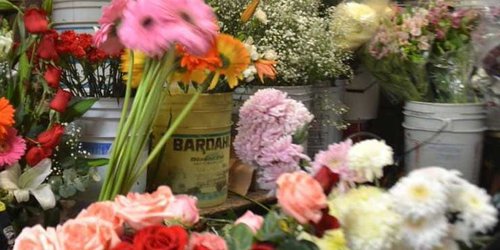 Floristas ahora vendieron en la central de abastos, ante cierre de panteones